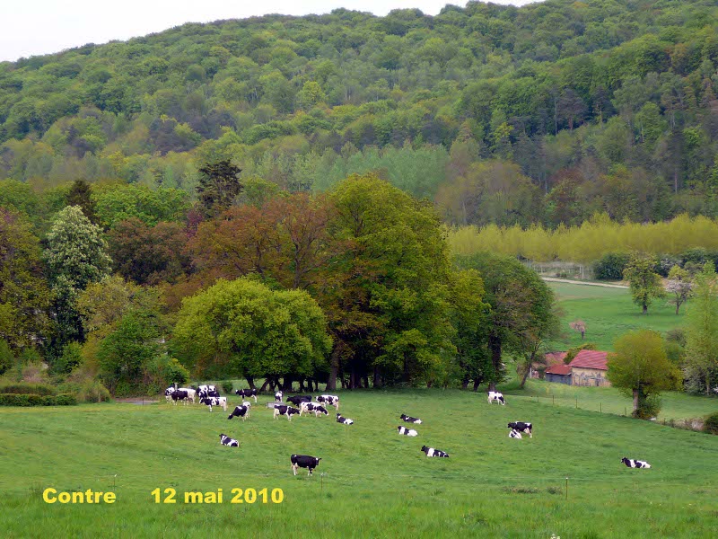 128_01 Contre.jpg